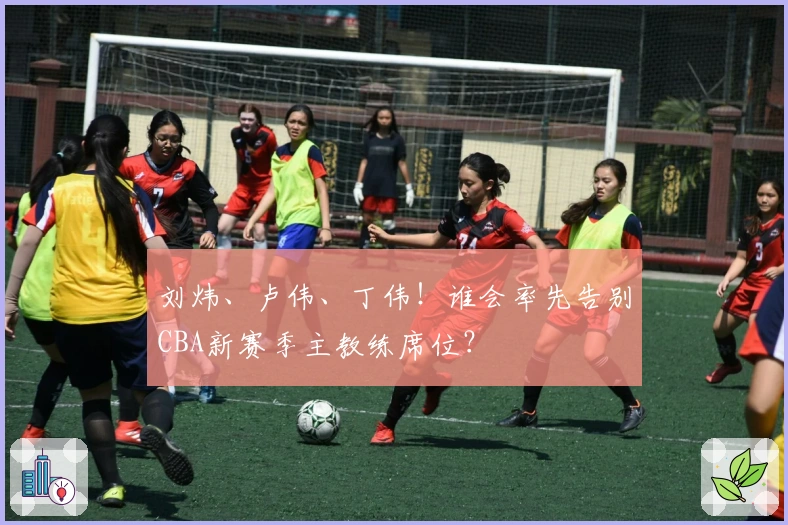 刘炜、卢伟、丁伟！谁会率先告别CBA新赛季主教练席位？