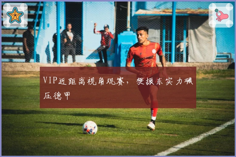 VIP近距离视角观赛，樊振东实力碾压德甲